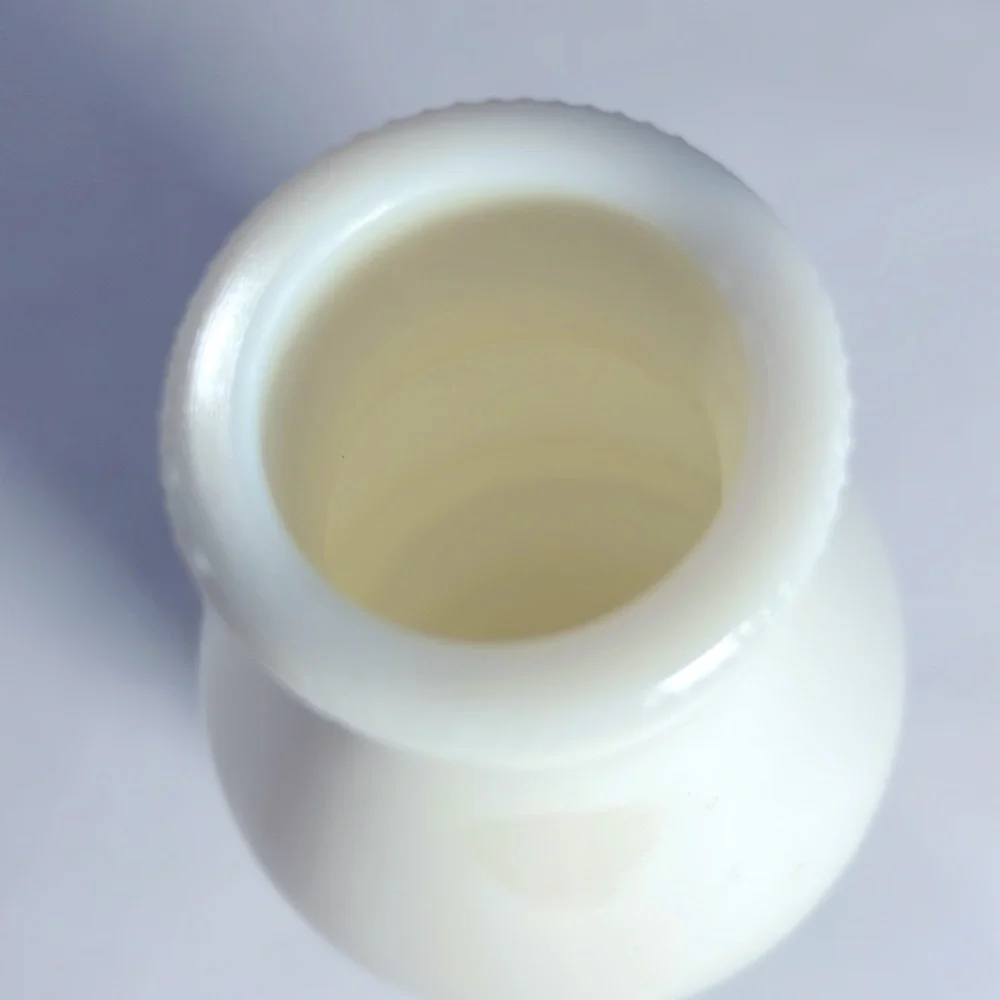 1970’s Milk Glass Bottle Vintage Bird Italy Egiasu Vase Kitchen Collectible 🇮🇹